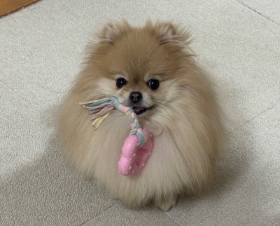 あざとい