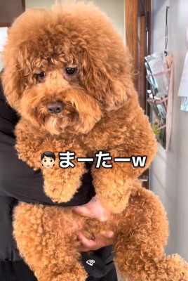 大笑い！