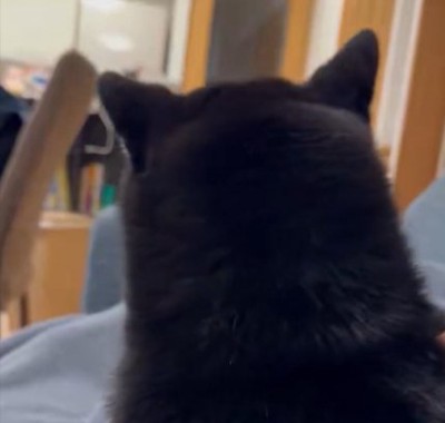 膝の上