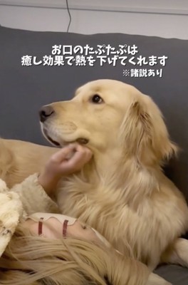 解熱効果