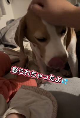 しょんぼり…