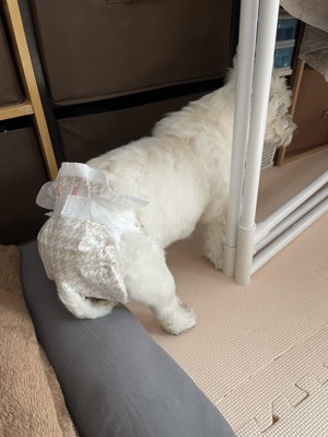 ちーちゃん