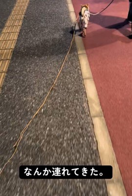 応援したくなりますね！