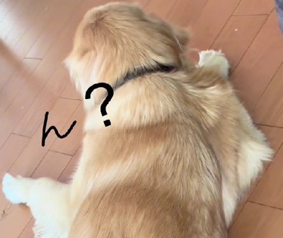 「？」