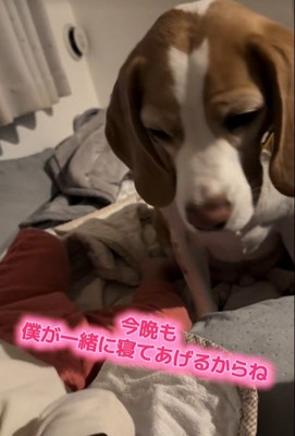 優しく見守り続ける姿に感動♡