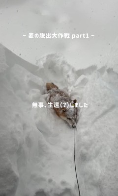 気合いで方向転換！