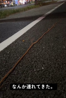 長すぎる！！