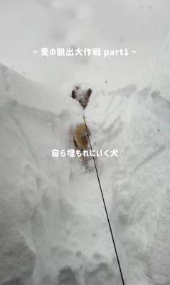 埋もれながら前進！