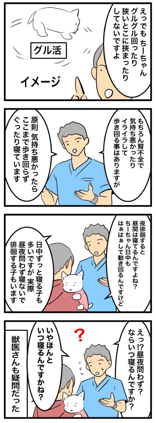 ちーちゃんですけどもっ【第349話】　2