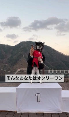 ナンバーワンではなく、オンリーワン！