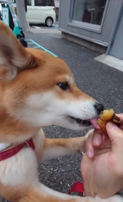 パクッ
