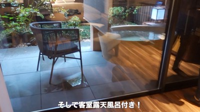 旅行中のティノちゃん3