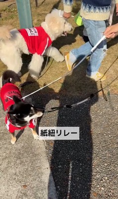 「紙紐リレー」スタート！