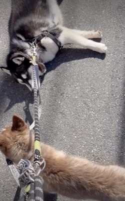 「ふぅ」