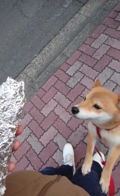大喜び♪