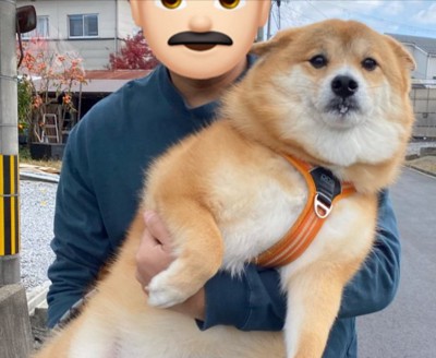 ヨダレ