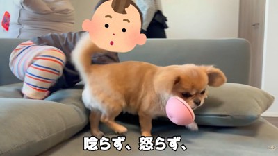 全然怒りません！