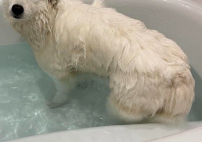 何かに似ている…!!
