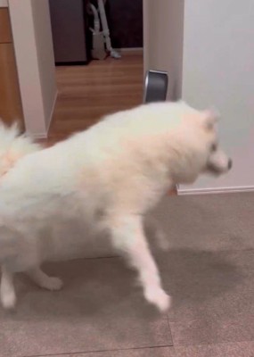 キャッチ失敗しちゃった!!