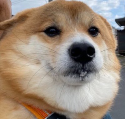 緊張