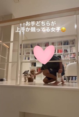 お手を競う2匹