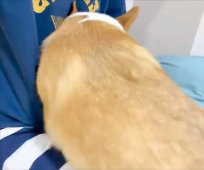 大急ぎ