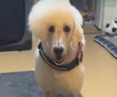 可愛いお顔♡