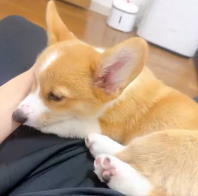 お迎え