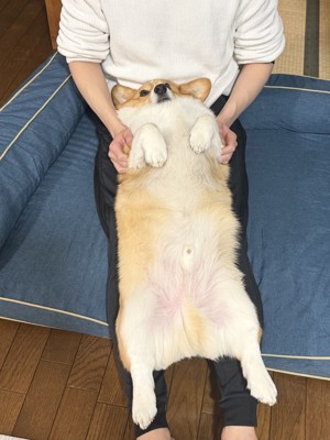 立派