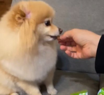 小躍り