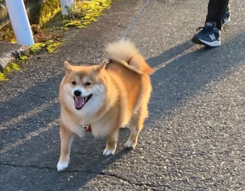 ニコニコ