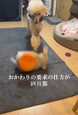 台を蹴飛ばしました！