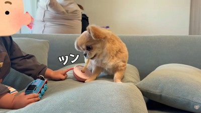 指でツンツン♪