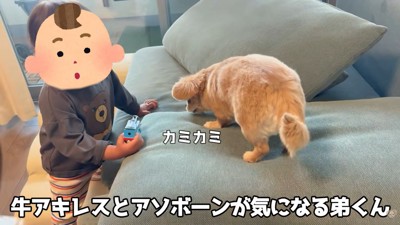 オヤツを食べるハナちゃん＆興味津々の男の子