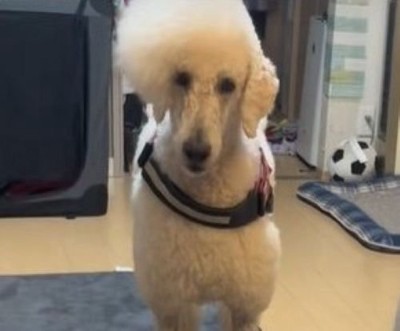 ご不満顔