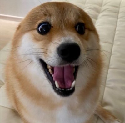 まん丸