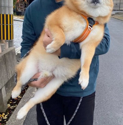 動物病院