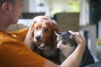 なでられている犬と猫