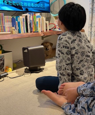 奥で休む犬