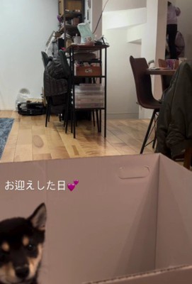 2階に駆け上がってしまった！