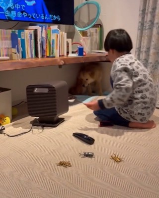 お水をあげる