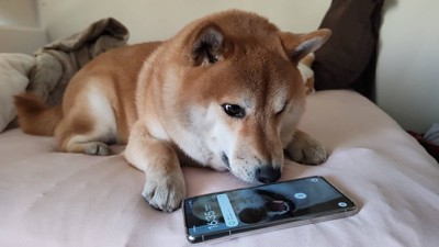 スマホ