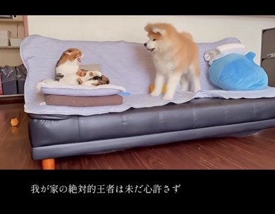 引き続きブチギレ!!