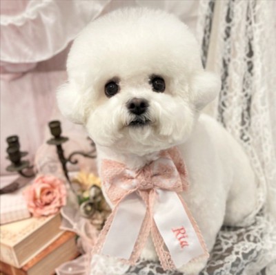 天使