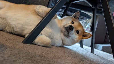 のんびり