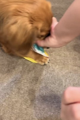 紙風船を取り返そうとする人