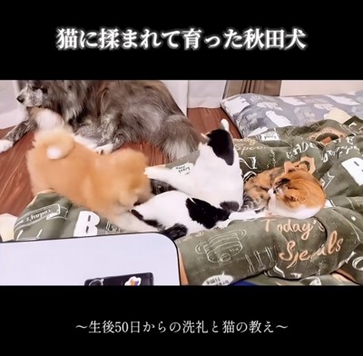 クリーンヒット!!