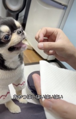 「んま!!」
