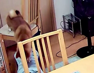 なるべく痛くないように…