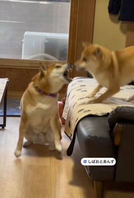 ついにブチギレ！！